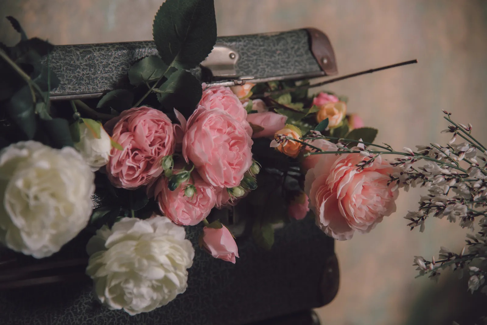 weiße und rose Rosen in einem Koffer
